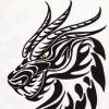 DrgnLrd266's Avatar